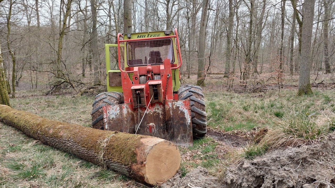 🌳🌲mb trac 1000 forestier/débardage/MB Trac Forst/Holzrücken/Forstarbeiten/ Mb Trac 🌲🌳