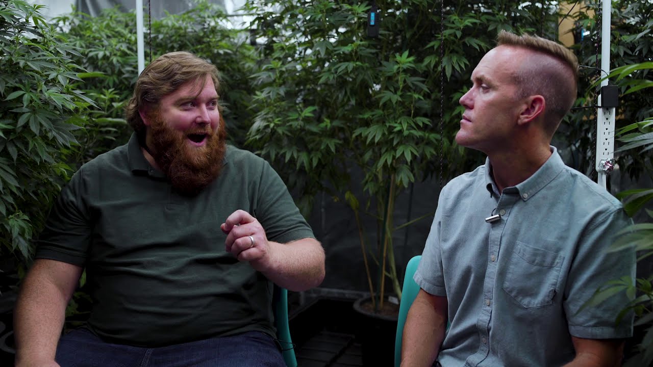 Medical Marijuana Strains & Delivery | Discover Marijuana