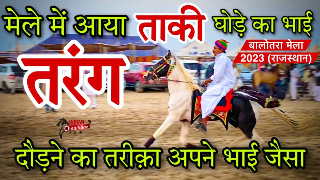 मेले में आया ताकी घोड़े का भाई तरंग दौड़ने का तरीक़ा अपने भाई जैसा Balotra Mela 2023 (Rajasthan)