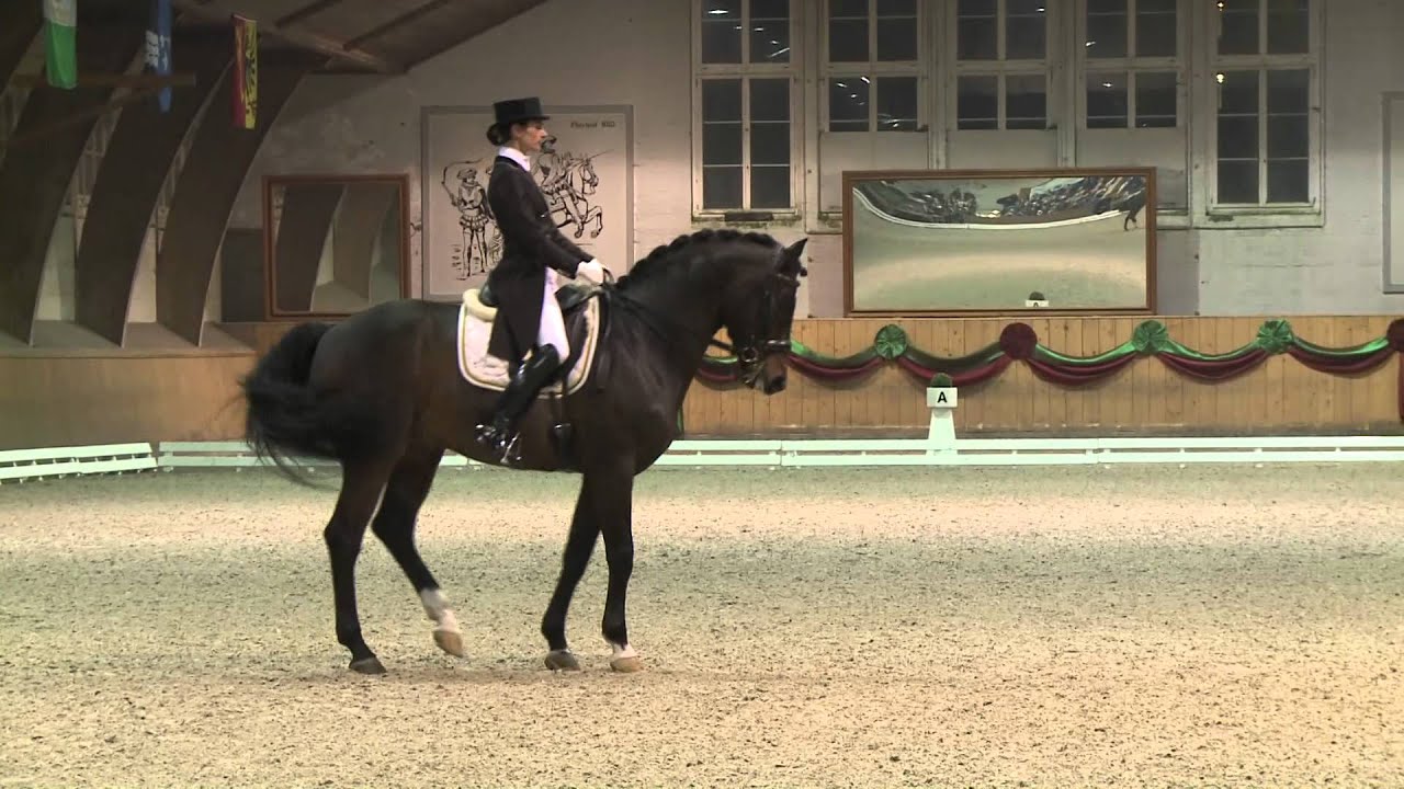 Birgit Wientzek Pläge mit For Compliment im Grand Prix NPZ Bern 2014