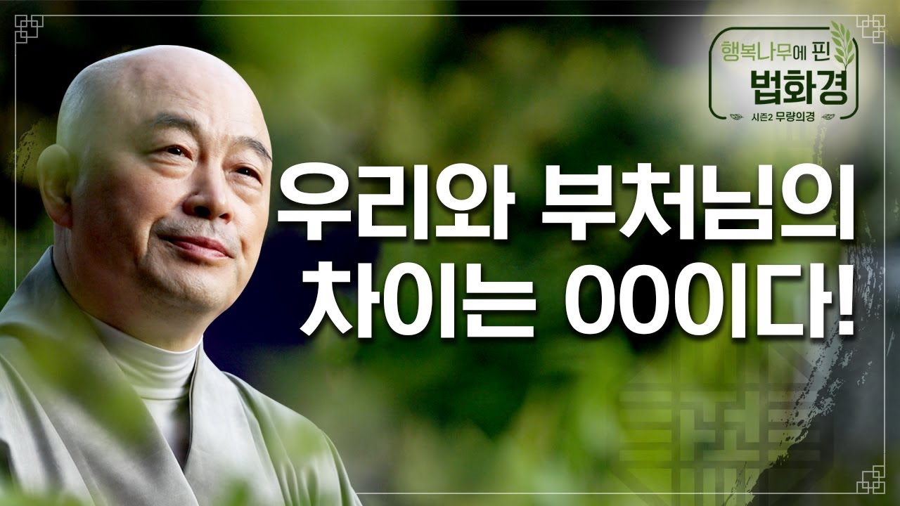 우리와 부처님의 차이는 OO이다? [호연스님 행복나무에 핀 법화경 시즌2 72회]