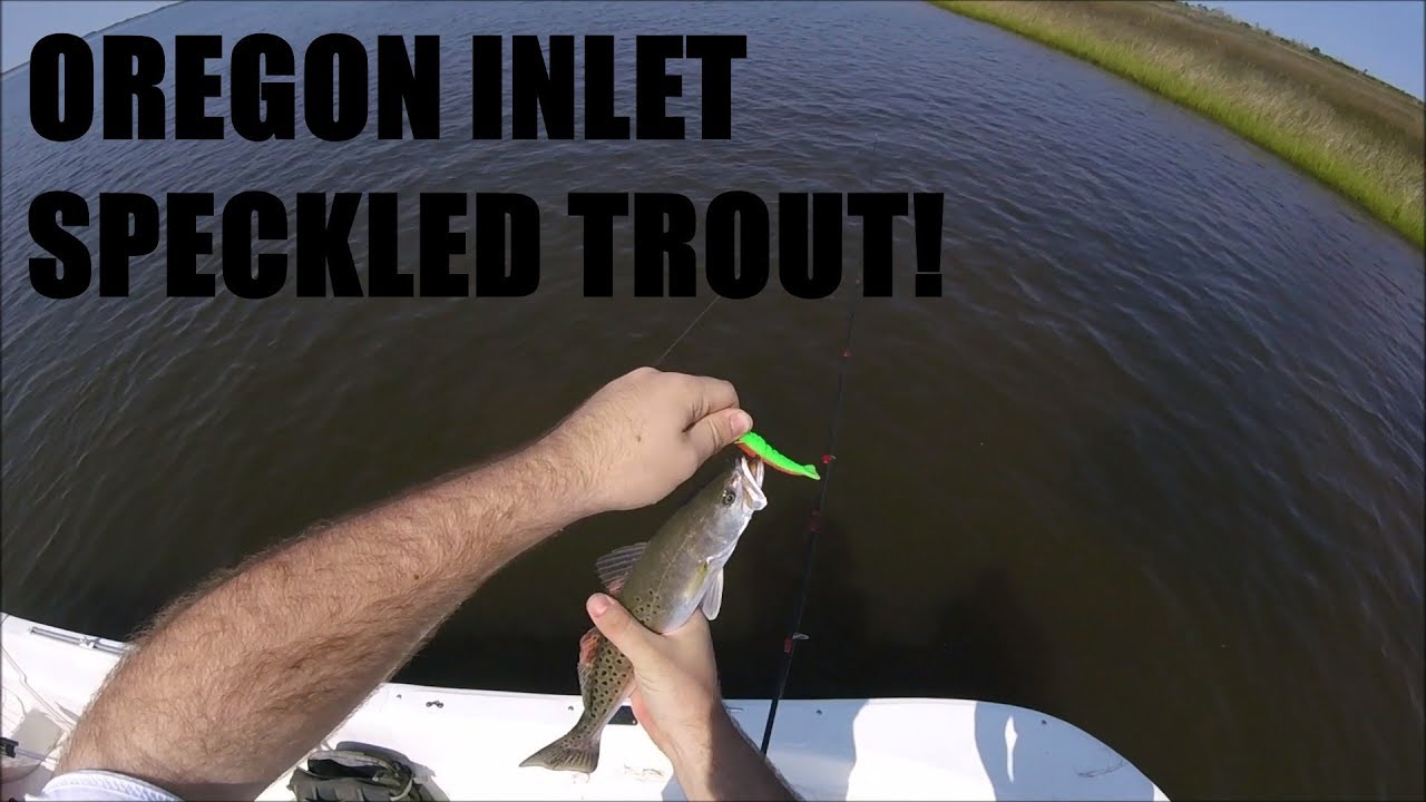 INSHORE FISHING OREGON INLET! - SPECKLED TROUT FISHING! FT. 1fish2fish
