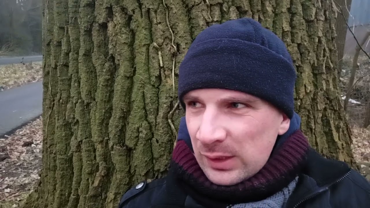 Сижу под деревом, а на счету минус…