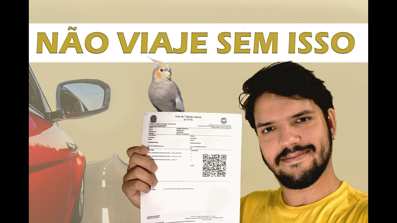 Antes de viajar com sua ave você precisa emitir esse documento...