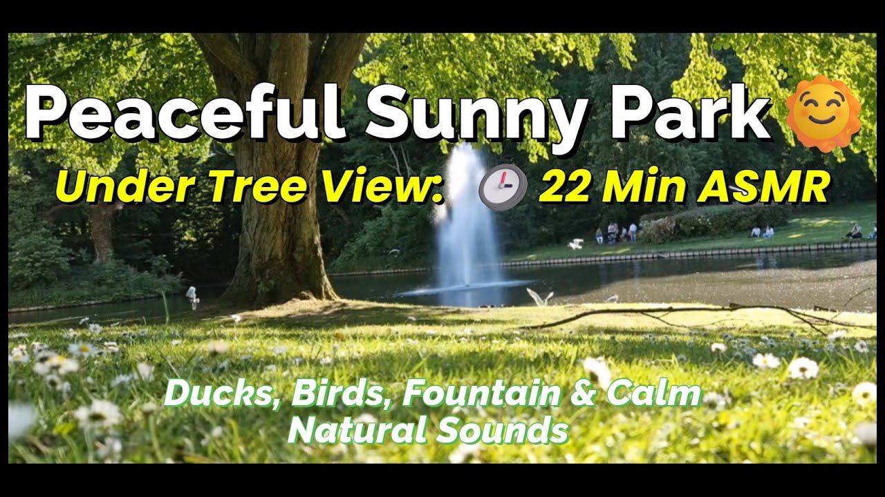 Peaceful Sunny Park 🌞🌳 Ducks, Birds, Fountain & Calm Natural Sounds | 22 Min #asmr #relaxing #love