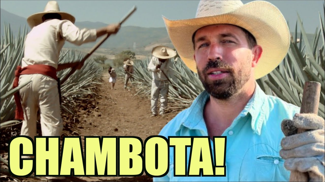 ASÍ es la DURA VIDA de un MAESTRO MEZCALERO en MÉXICO 🇲🇽🥃