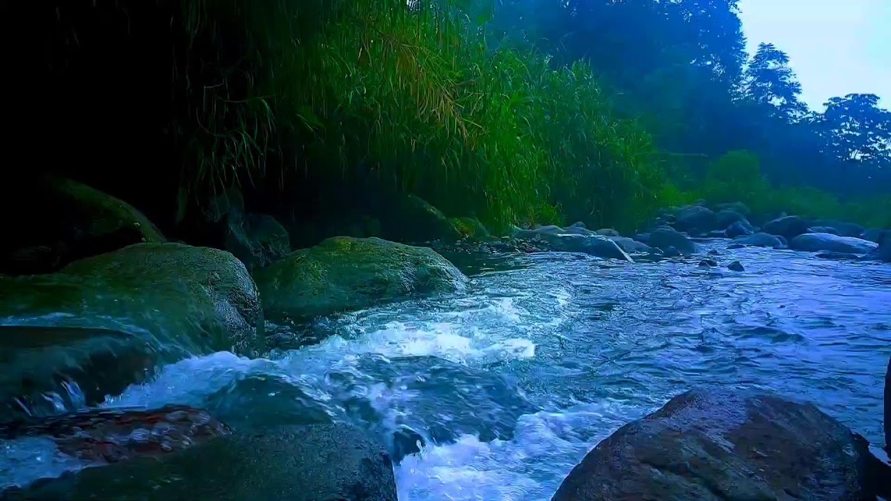 🌊 Deep Nature River ASMR Sounds for Deep Sleep, Relaxation & Stress Relief