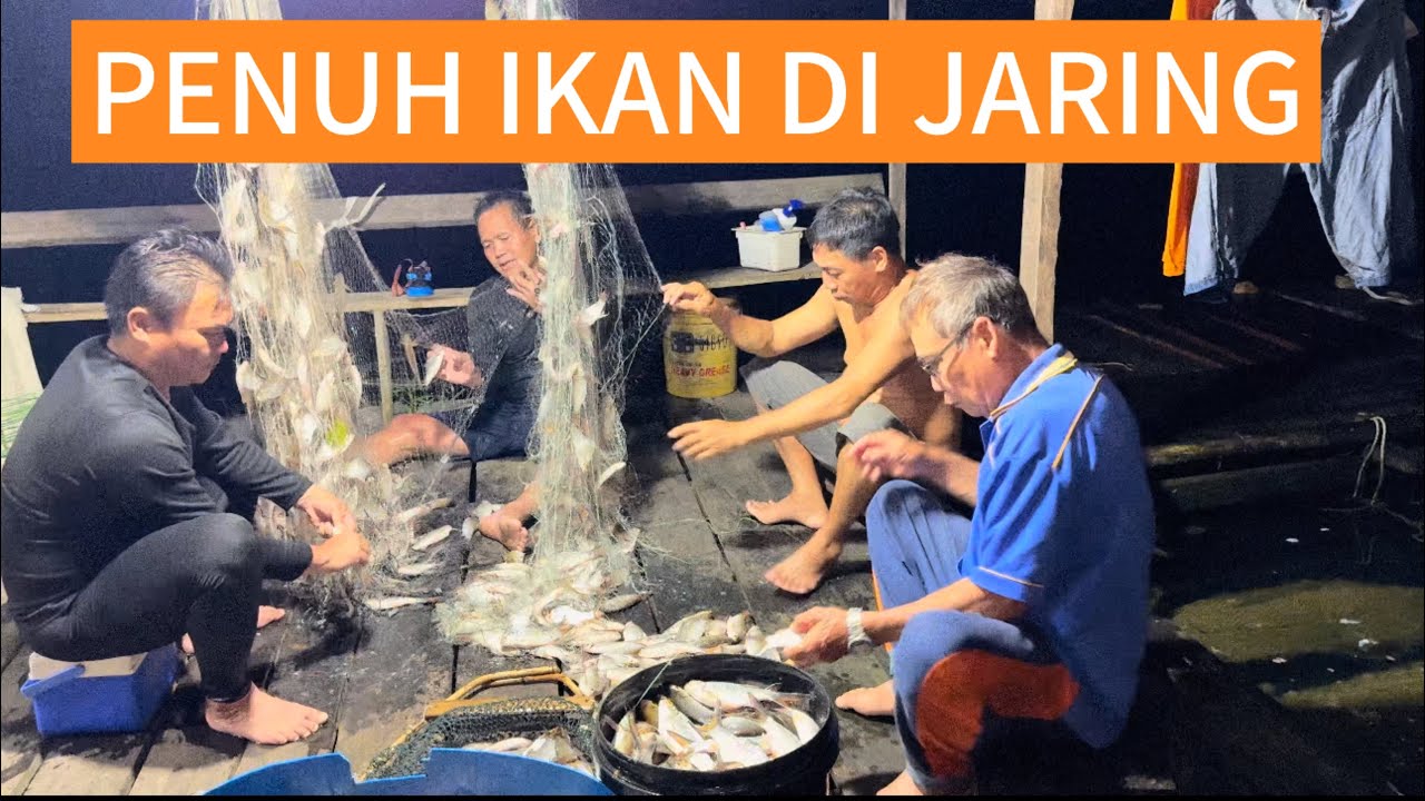 Tak Pernah Melihat Ikan Sebanyak Ni Dalam Pukat Memang Betul2 Wow... 🎉💞