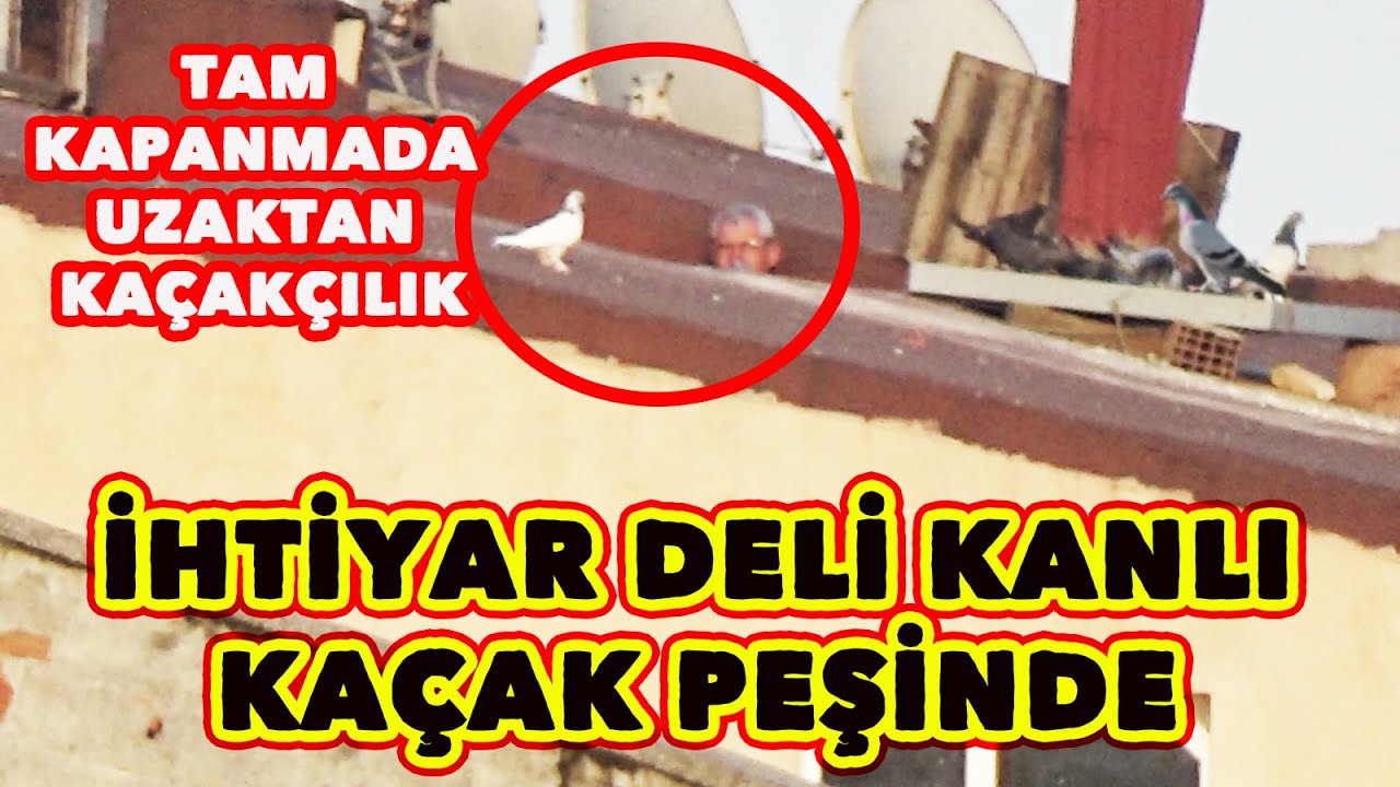 TAM KAPANMA DEDİLER BIZ DE UZAKTAN KA&Ccedil;AK&Ccedil;ILIK YAPTIK İHTİYAR DELİ KANLI KA&Ccedil;AK PEŞİNDE