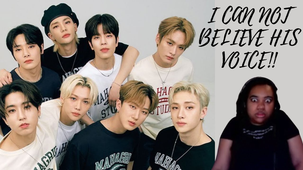 I CAN'T BELIEVE HIS VOICE!! | A Quick and Helpful Guide to Stray Kids