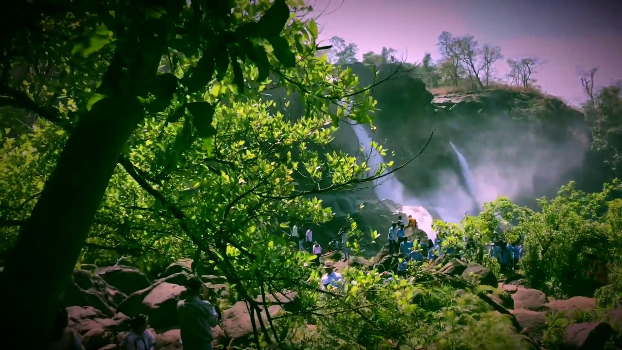 Athirampilly, Thumboormuzhi/ one day trip to thumboormuzhi dam