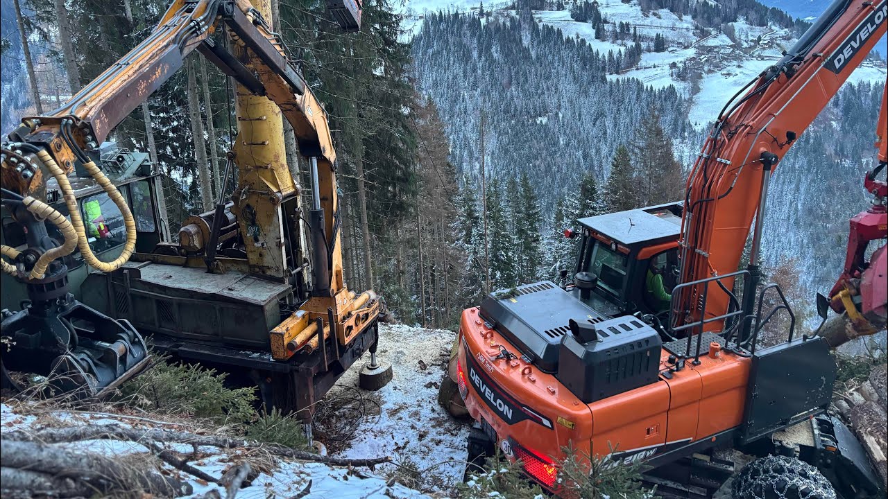 Holzbringung mit Seilbahn und Baggerprozessor💪🌲🪓