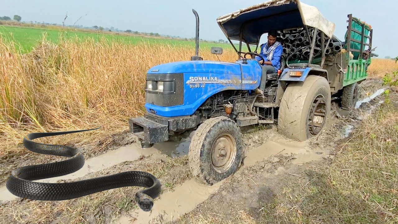 Again Sonalika Di 60 Rx Stuck in Mud Eicher 242 Pulled it Easily  Snack on Road