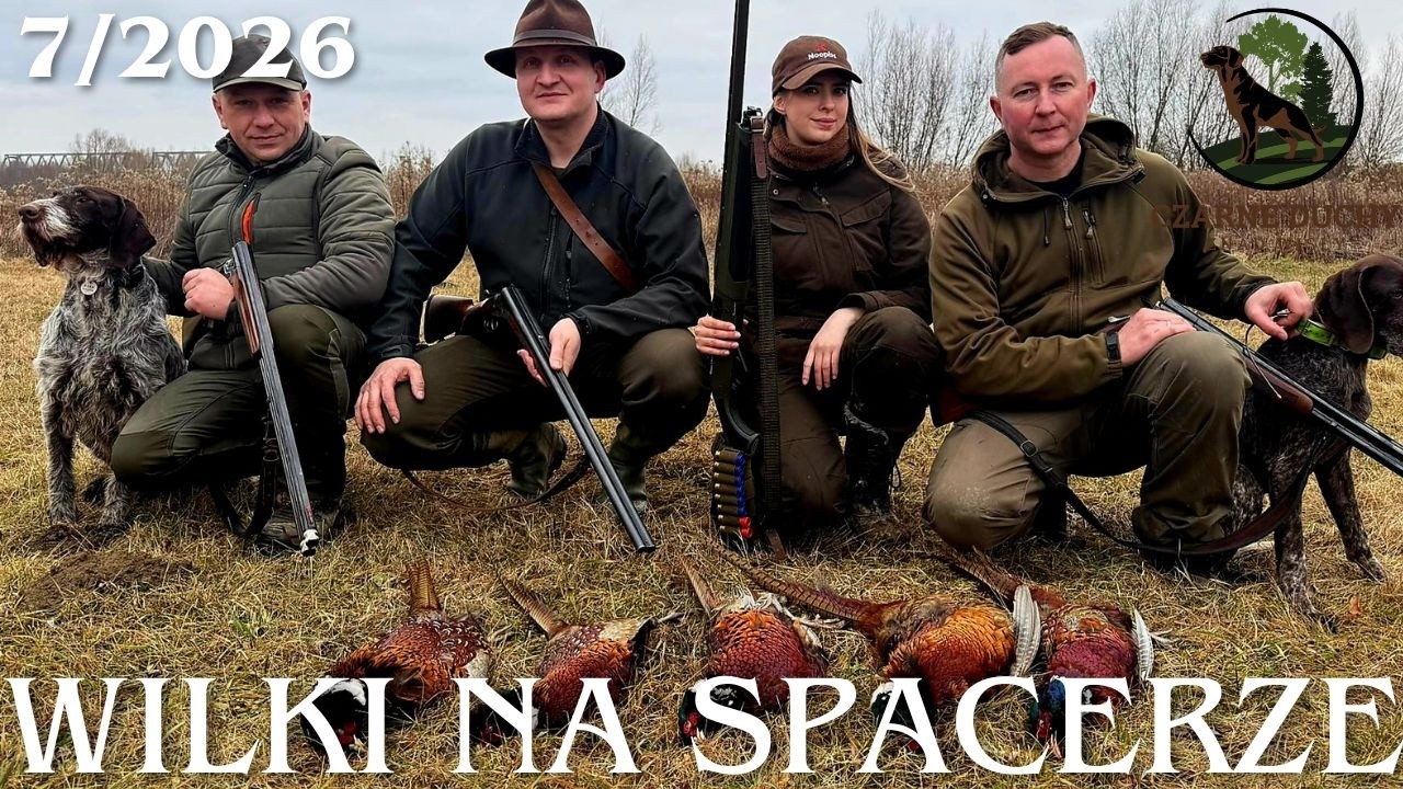 Wielki Finał: 7+3+5(Dzik, Lis i Kogut). #wildboar , #fox , #pheasant .CZARNE DUCHY ZNAD WISŁY 7/2026
