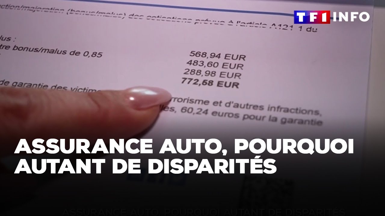 Assurance auto, pourquoi autant de disparités｜TF1 INFO