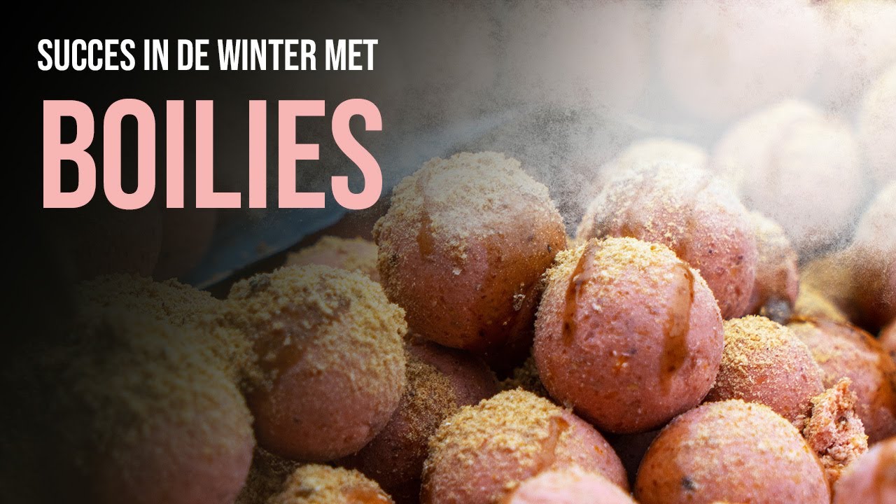 Kies de juiste boilies voor karpervissen in de winter ❄️ I Mark Hofman vertelt