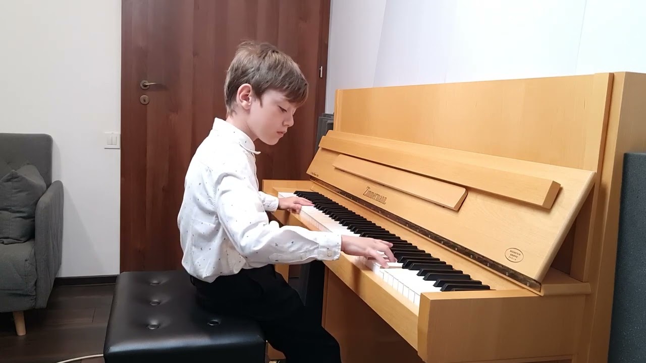Filip Cosmin Ioan -Domenico Scarlatti - Sonata in B minor; F. Schubert - Impromptu Op 142 No.2