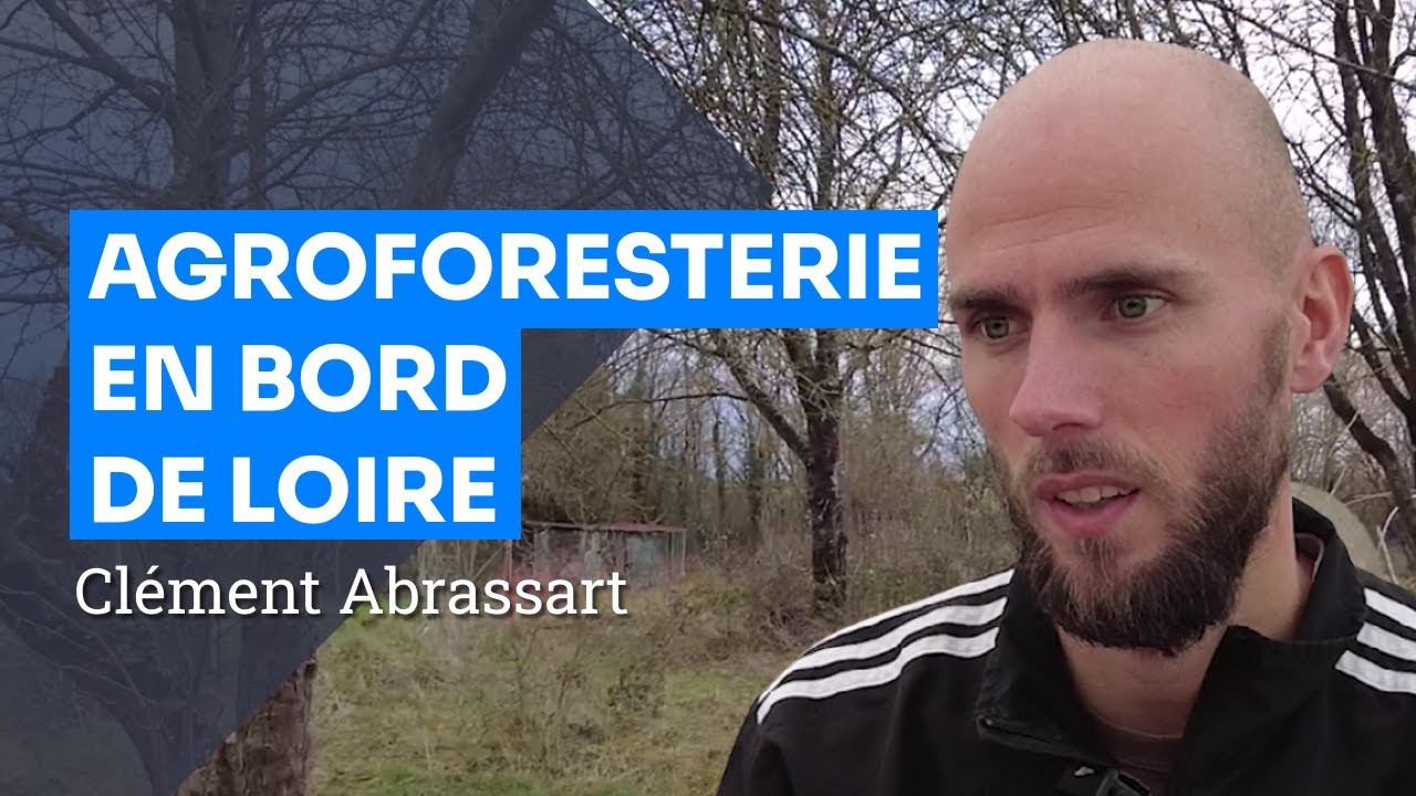 Agroforesterie en Bord de Loire : Biodiversité & Production Fruitière avec la Belle et la Blette