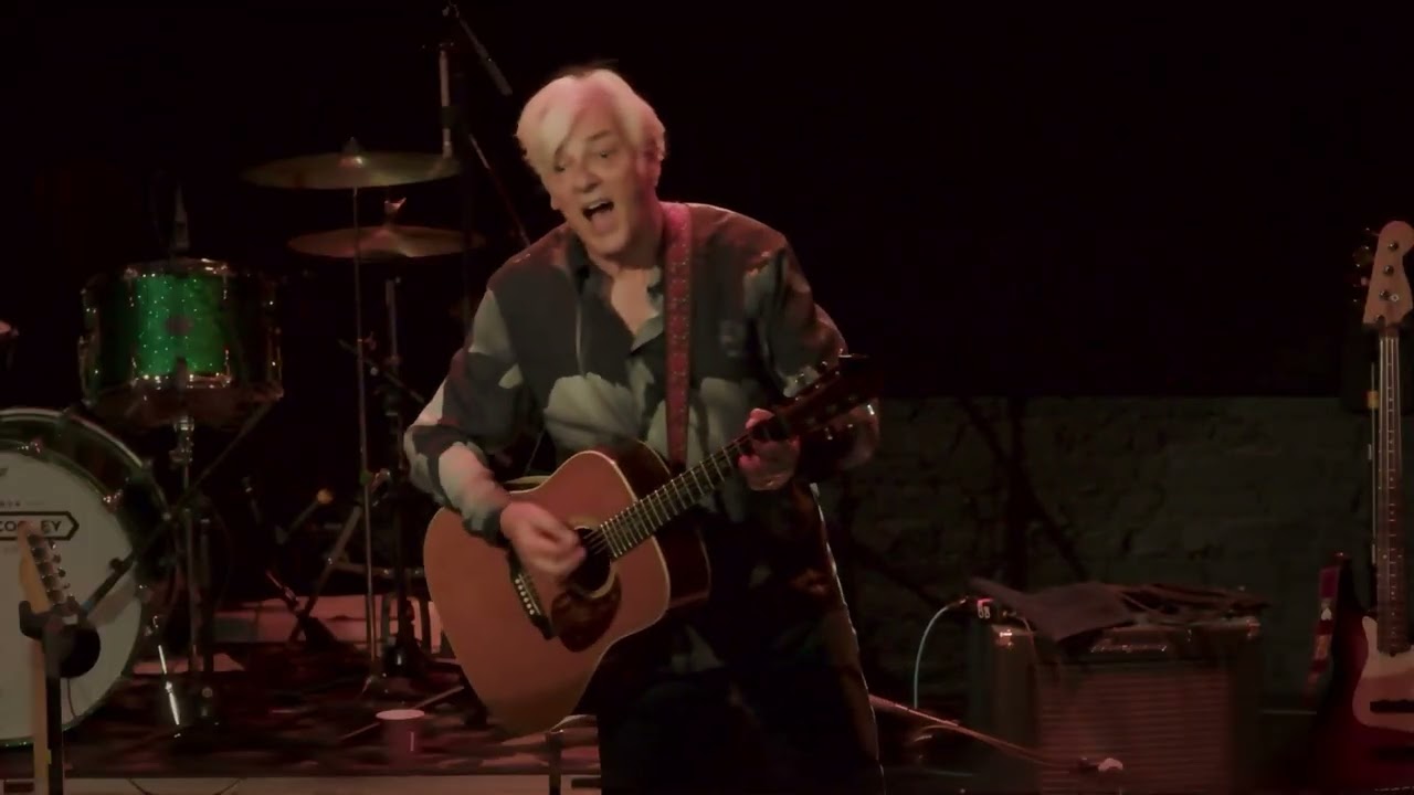 Robyn Hitchcock - 