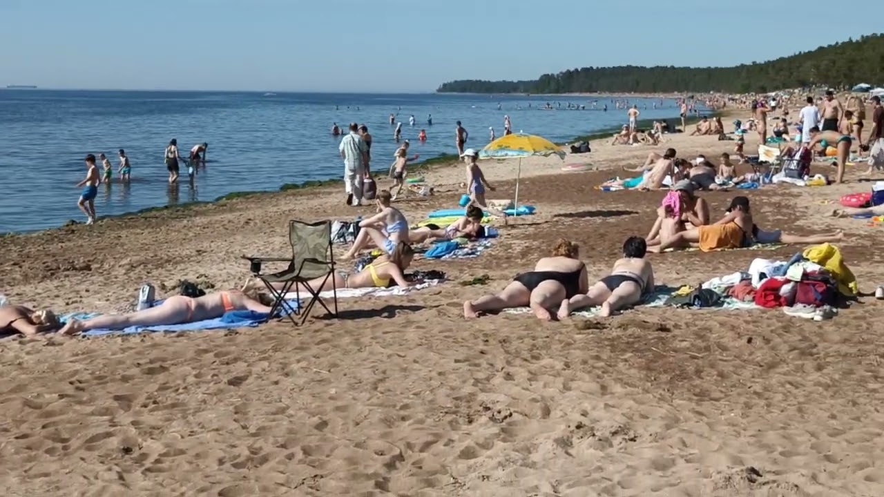 СОСНОВЫЙ БОР. пляж ЛИПОВО. 90км от Санкт-Петербурга. Южное побережье финского залива