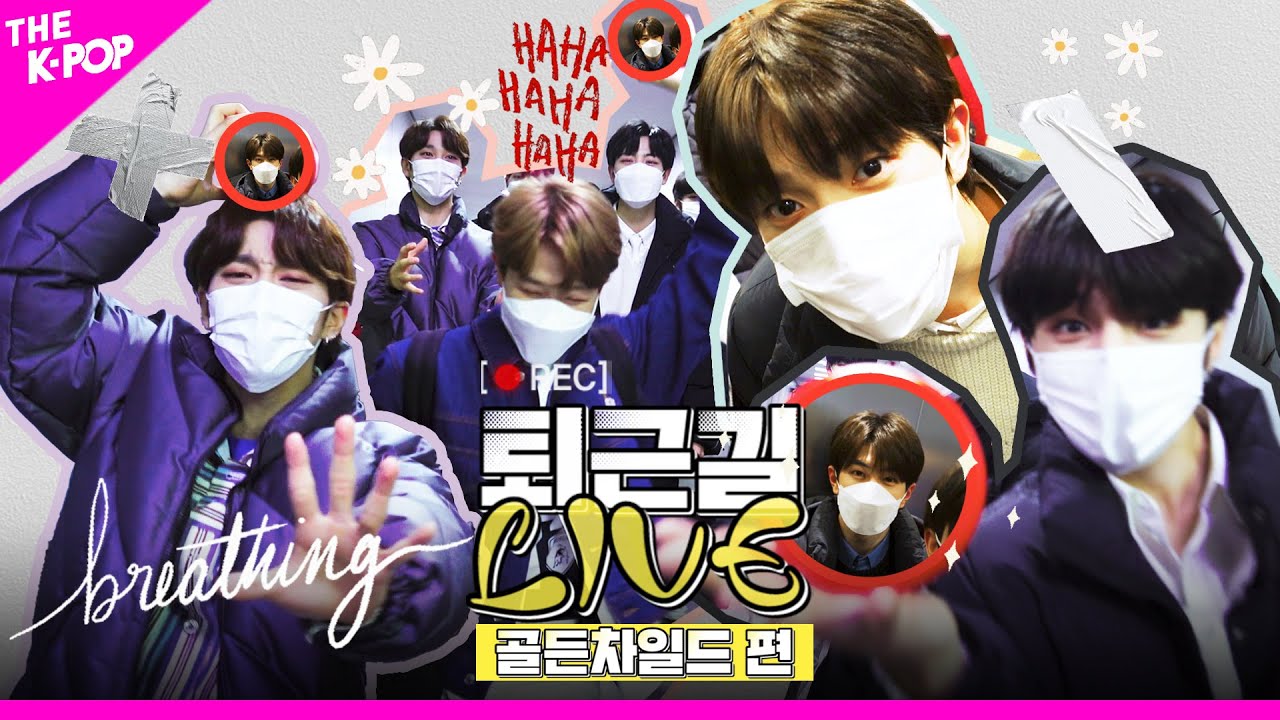[퇴근길 LIVE 4K] 영원히 프리즘 타워에 머물러 숨 쉬게💨 하고 싶은 🏀금둥이들의 퇴근길 LIVE🏀