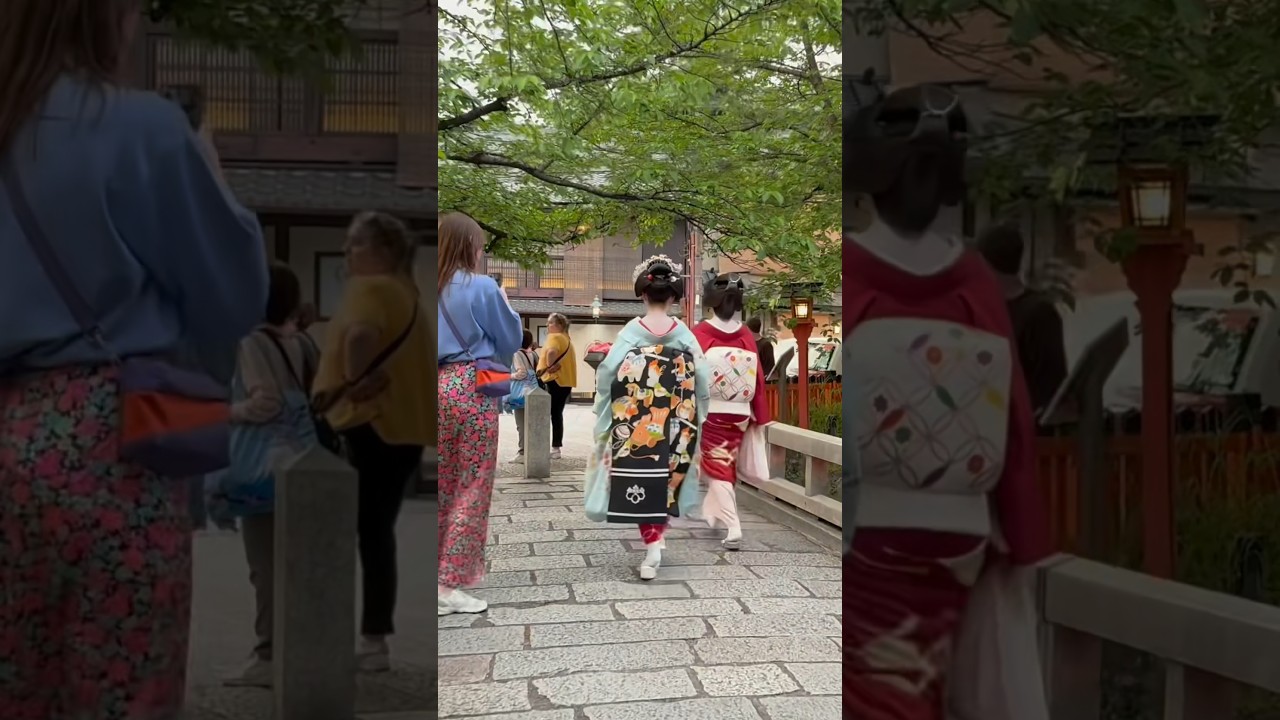 外国人観光客も見入ってしまう舞妓さん #京都 #舞妓