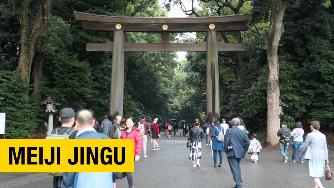 Experience the Tranquility of Meiji Jingu: A Must-See for Any Tokyo Traveler