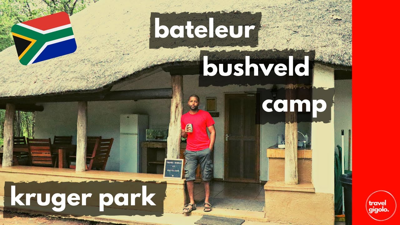 Travel/Accommodation Review: Bateleur Bushveld Camp, Kruger National Park (Kruger Park Self Drive)