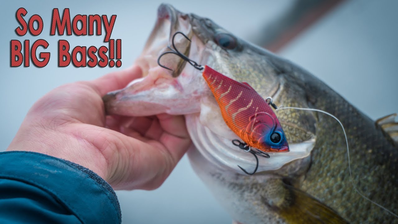 One Of My BEST Fishing Days EVER - Fishing A Lipless Crankbait (How-To)