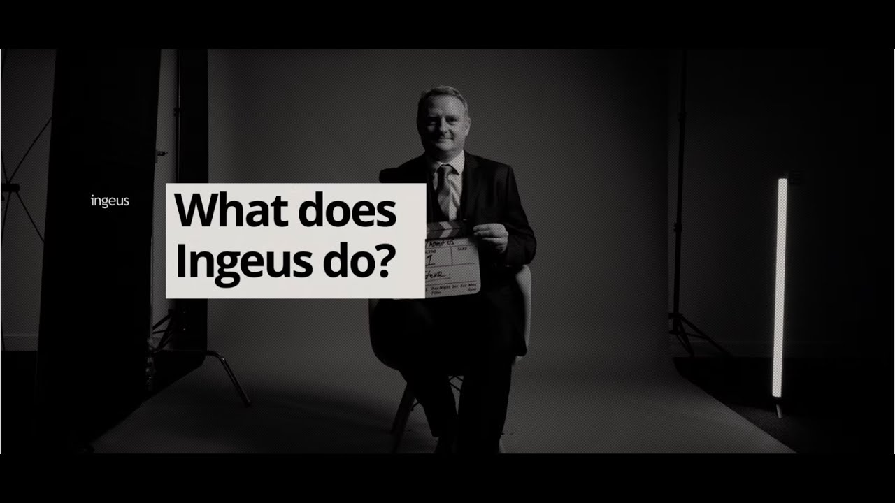 What does Ingeus do?