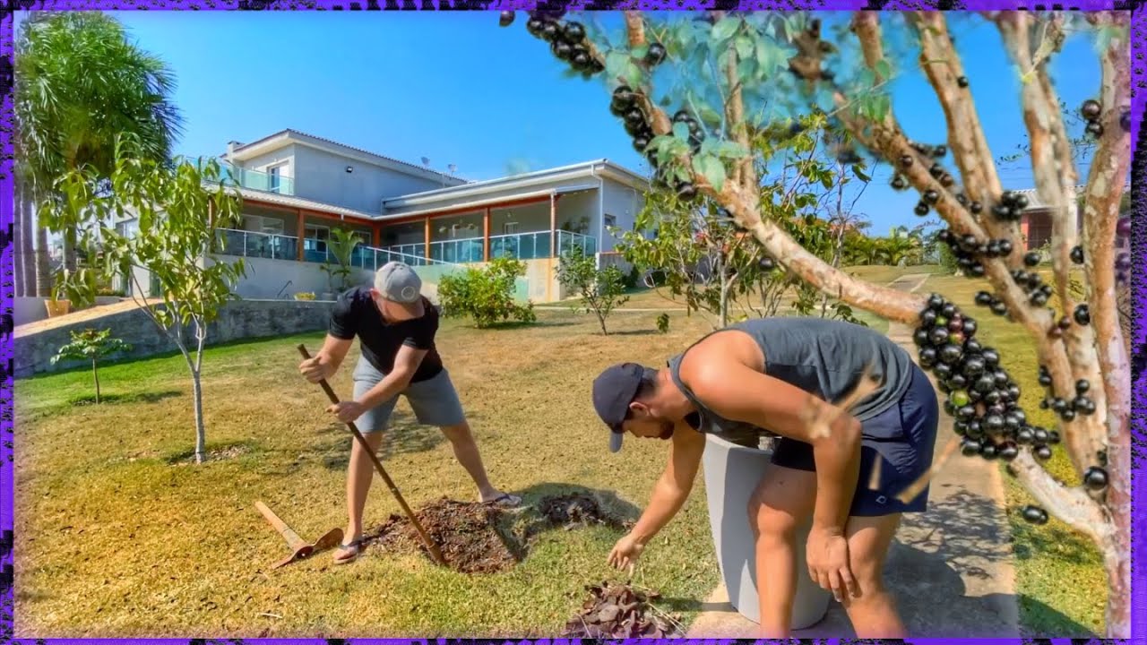 ESSA JABUTICABEIRA dá FRUTOS o ANO INTEIRO: PLANTAMOS no POMAR | Henrique Buttler