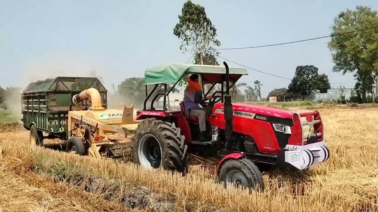 Massey 8055 का डेमो स्ट्रॉ रिपर पर