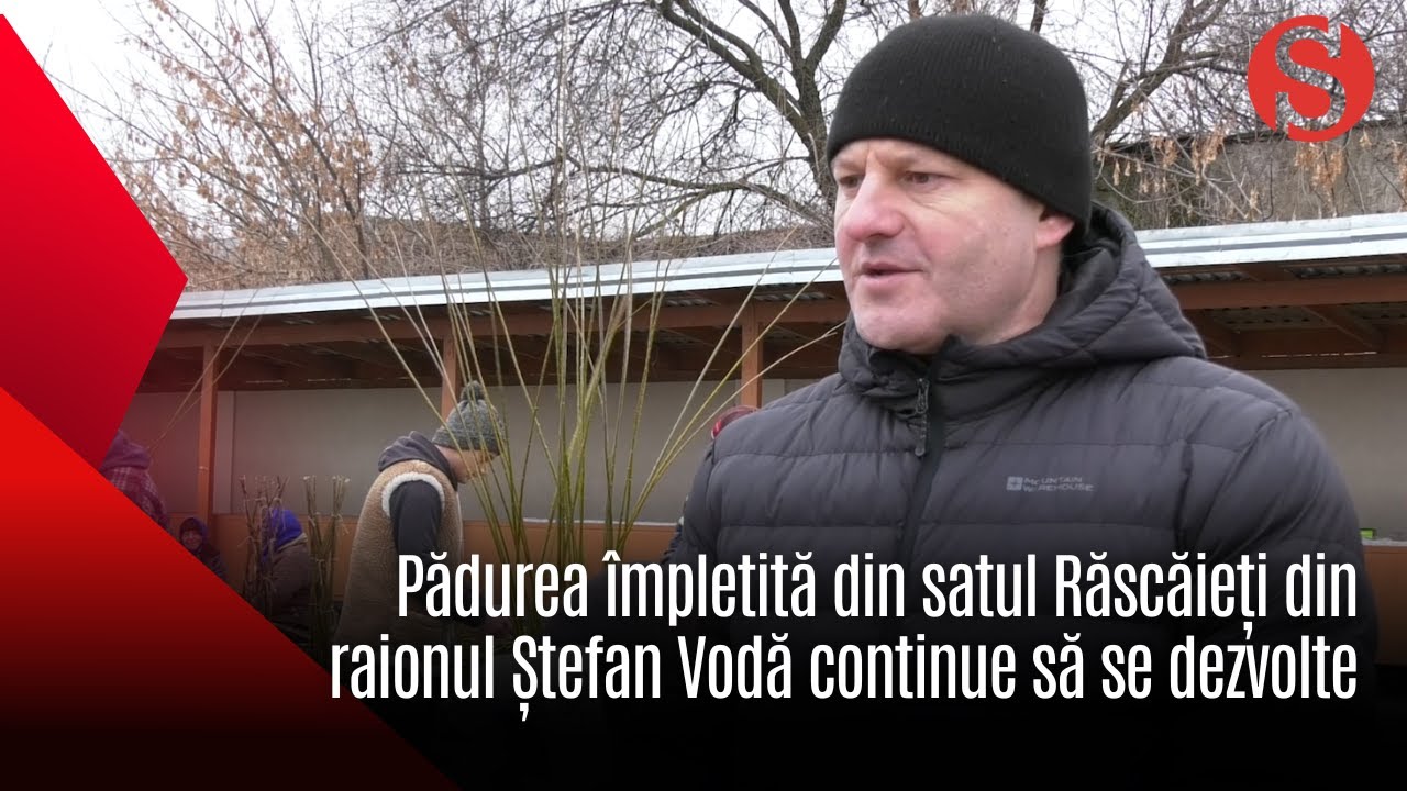 Pădurea împletită din satul Răscăieți din raionul Ștefan Vodă continue să se dezvolte