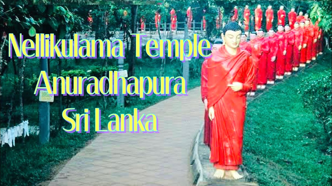 Nellikulama | Siri Sambuddha | Travel Guide | Anuradhapura | Sri Lanka | 2023