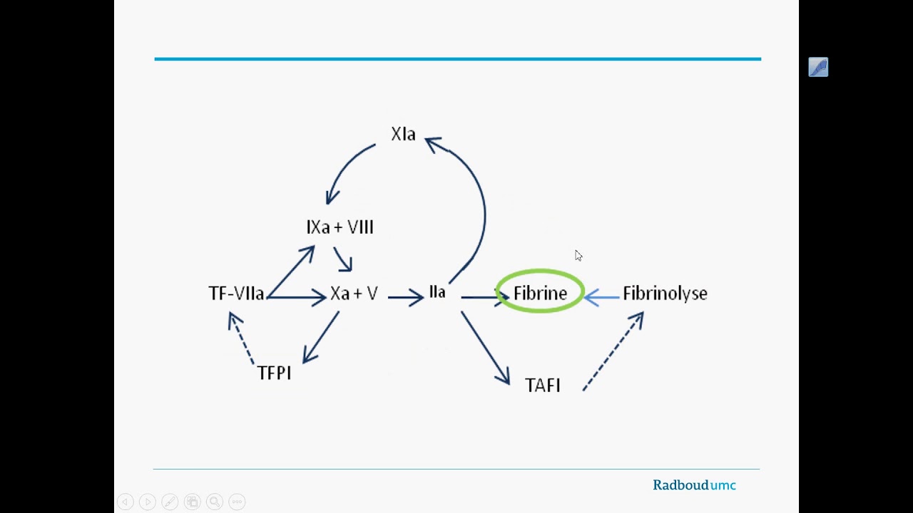 College Antistolling (Module B)