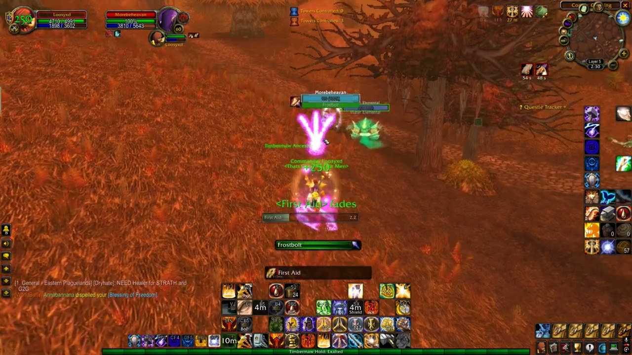 WoW TBC Anniversary Pre Patch: Reckoning Retribution Paladin World PvP & L2Peeeage