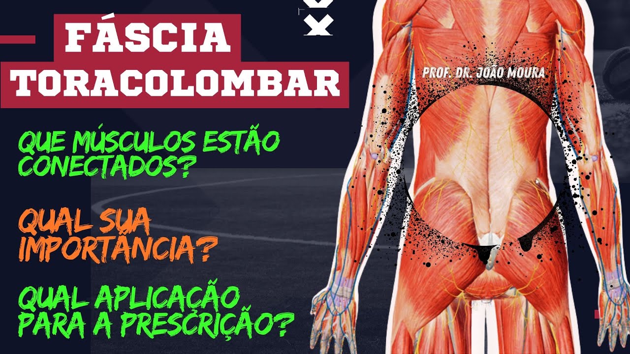 FÁSCIA TORACOLOMBAR: O QUE VOCÊ NÃO SABE, MAS DEVERIA SABER.