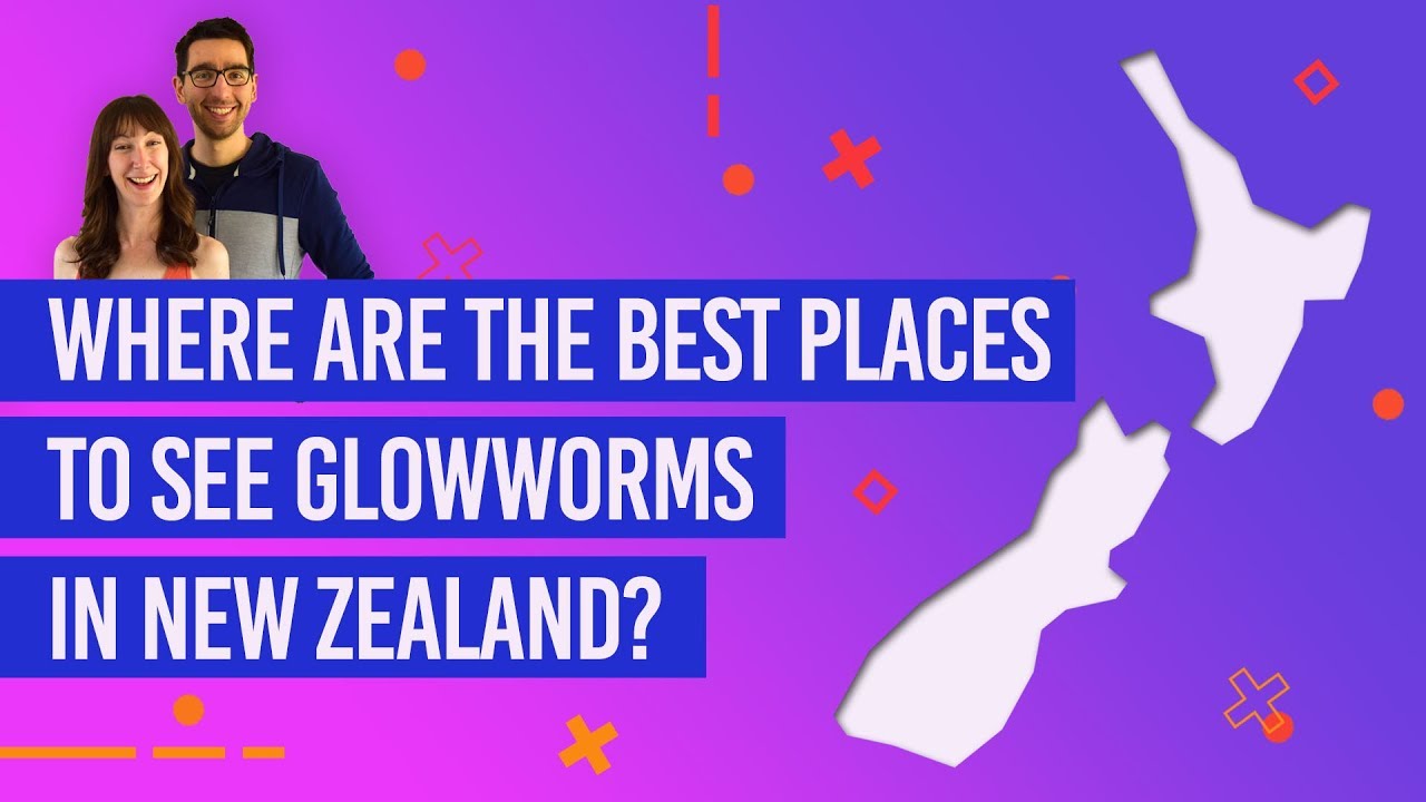 ✨🐛 Where are the Best Places to See Glowworms in New Zealand?