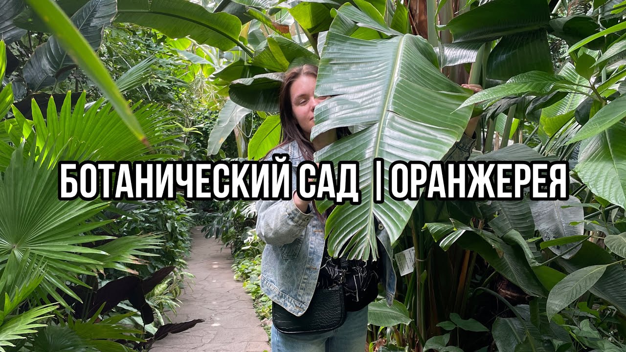 Самарский Ботанический сад | Оранжерея