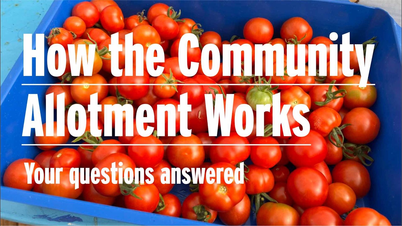 Burscough Community Farm - How our Community Allotment works in 2026