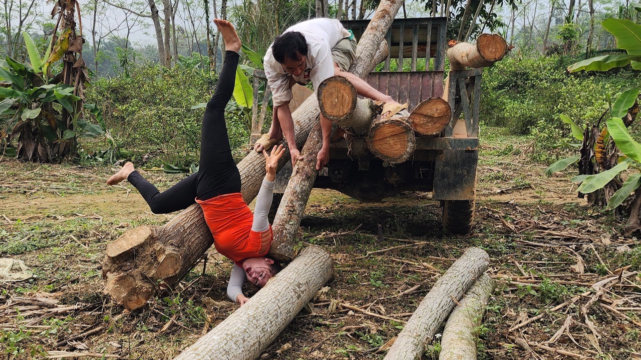 Transporting timber in an agricultural vehicle is quite dangerous when she's logging.