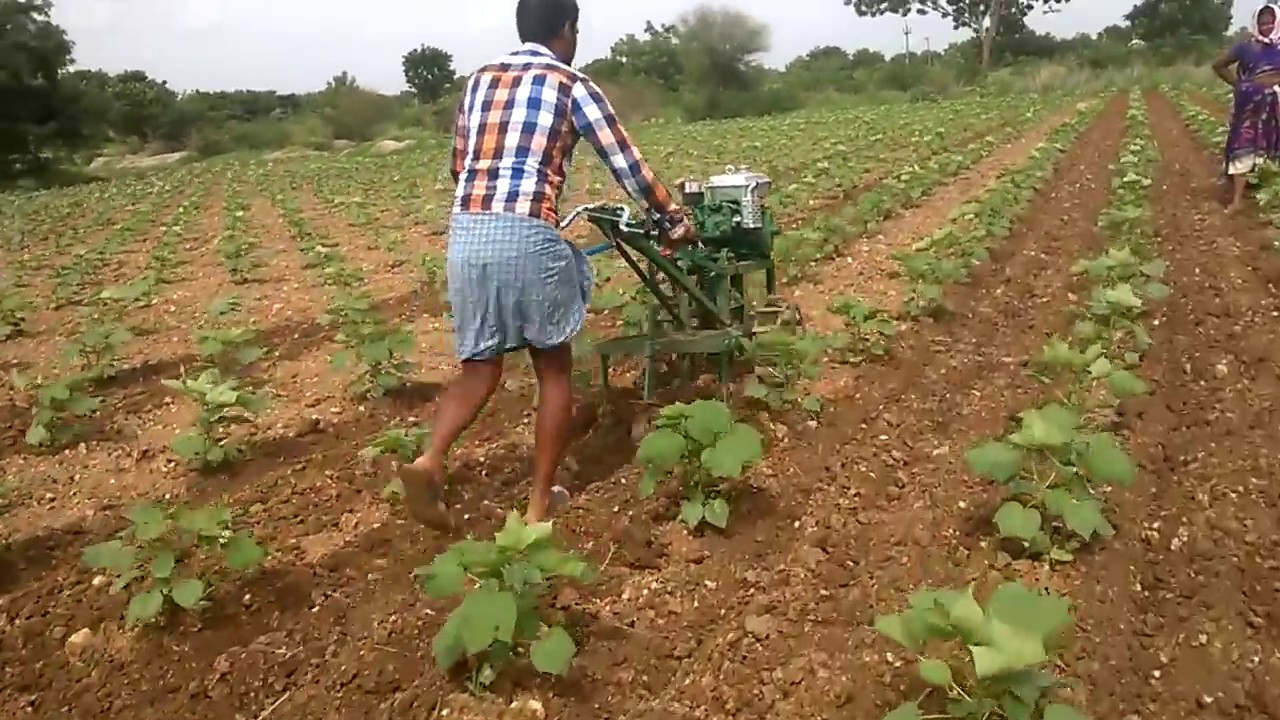 power weeder sooo fast to cultivate in cotton with 1.30 hours 1 acre field