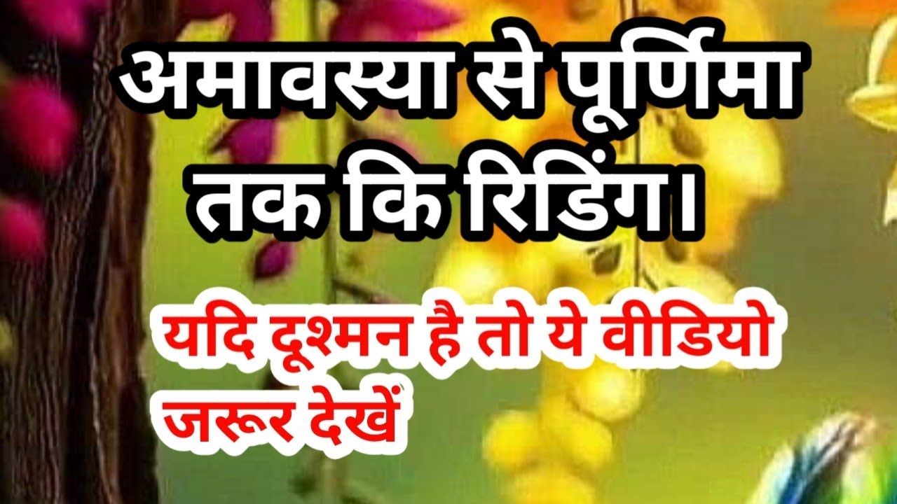 🌚अमावस्या से पूर्णिमा तक कि रिडिग 🥹 (यदि दूश्मन है तो वीडियो ज़रूर देखें)#chetnaurja919 
