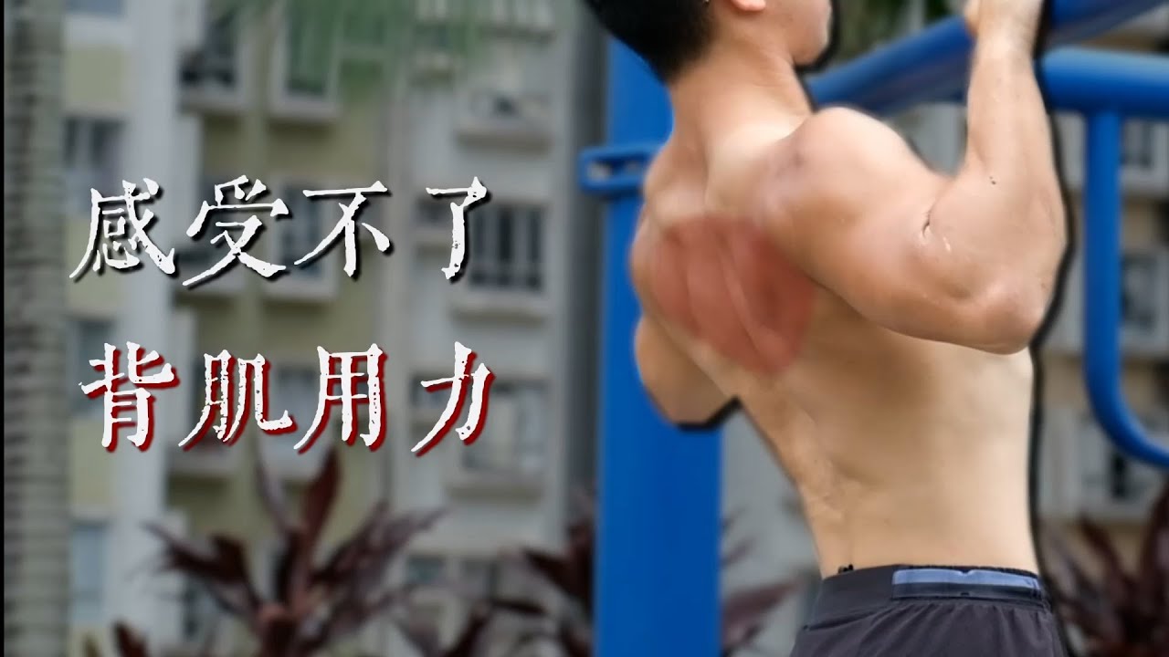 做引體背肌感受度不好？原來是這些原因！背肌感受度的秘密  (科學分析)