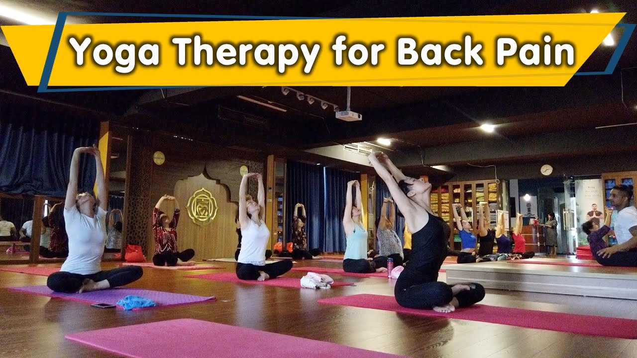 50-Minute Yoga Therapy for Back Pain | Basic Yoga for Back | Yograja  Yoga Class Vietnam