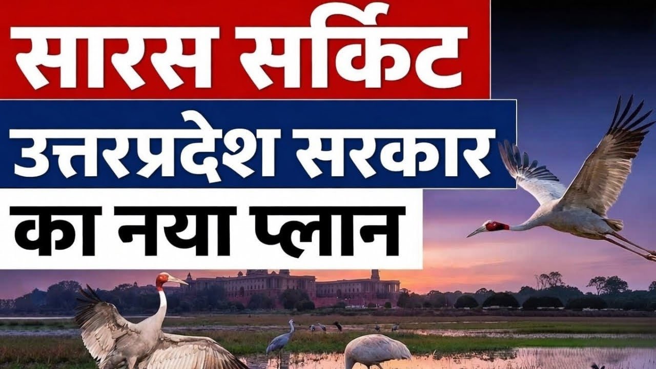 Sarus Circuit: Uttar Pradesh Government&rsquo;s New Conservation Plan | Current News |