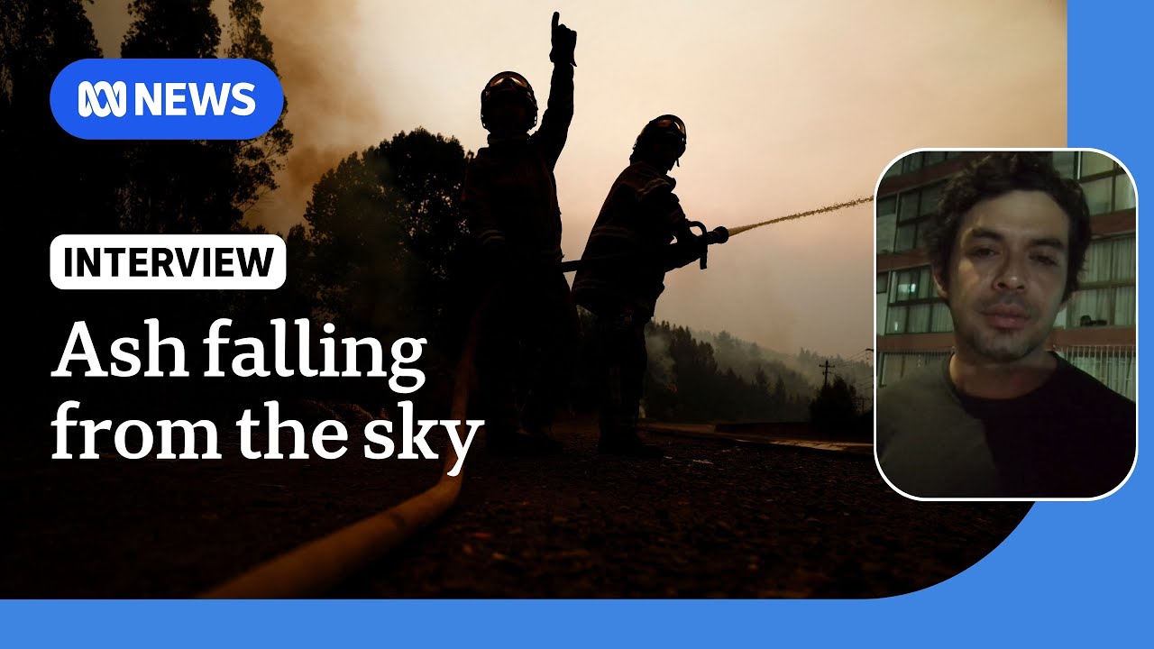 Journalist describes the scale of Chile's wildfires as state of catastrophe declared | ABC NEWS