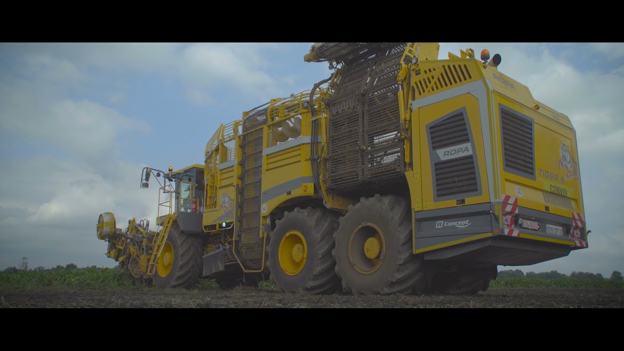Prototyp ROPA TIGER 6 (Beschreibung lesen) 85 TONNEN / ha | 4K