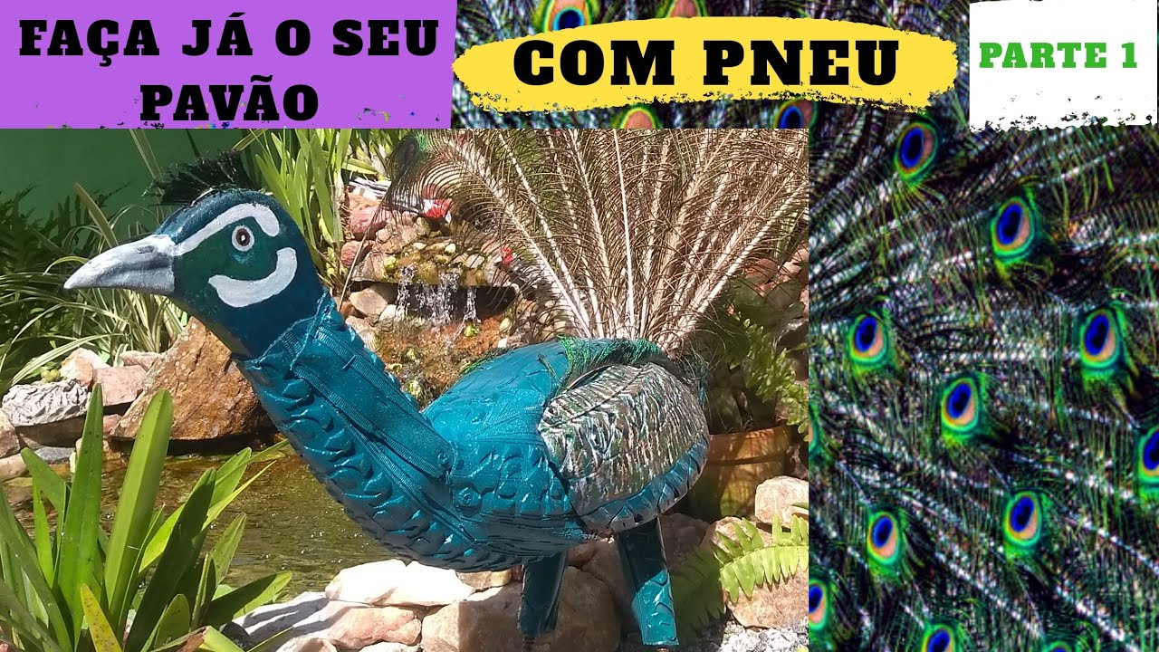 1ª Parte- PAVÃO DE PNEU