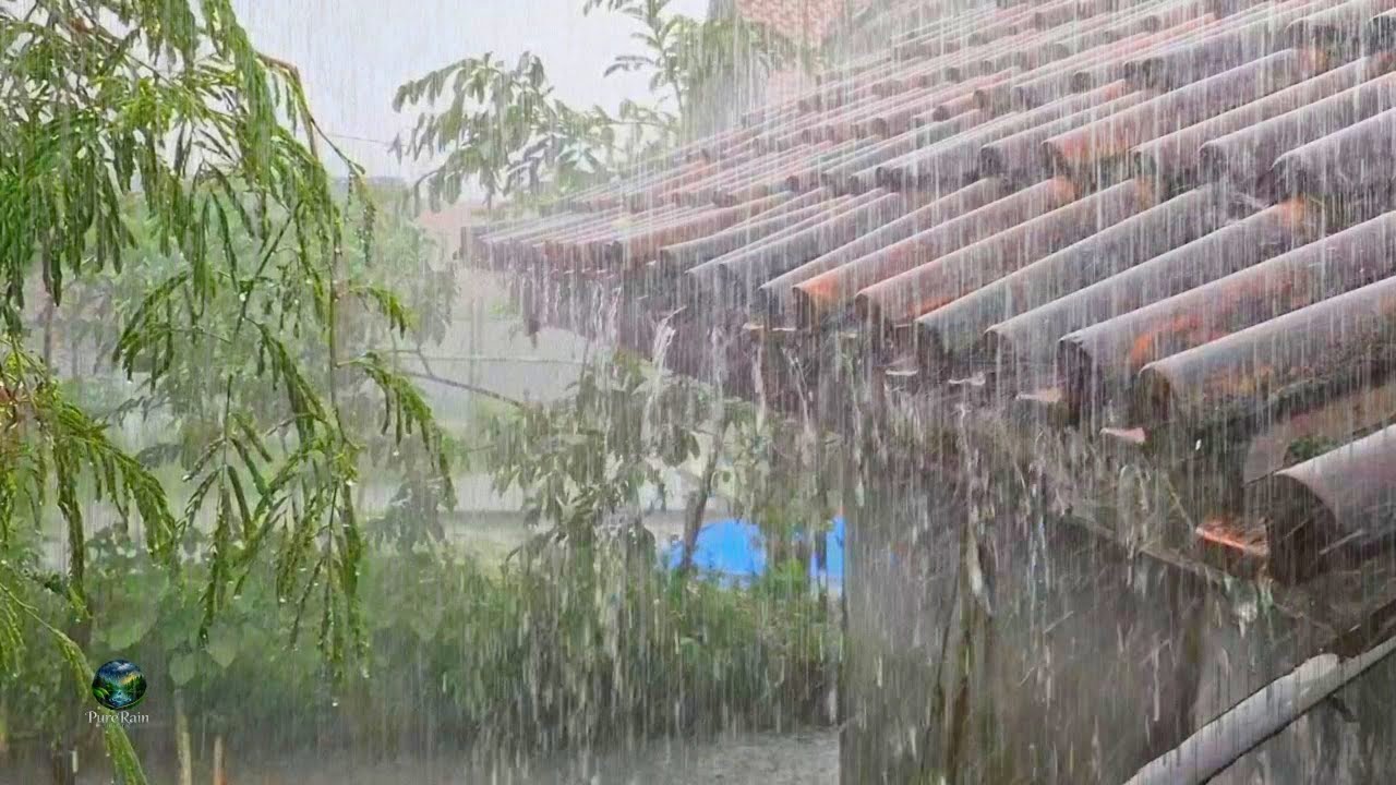 Sleep Soundly with the Sound of Heavy Rain on Leaves and Rooftops – Natural Rain Sounds